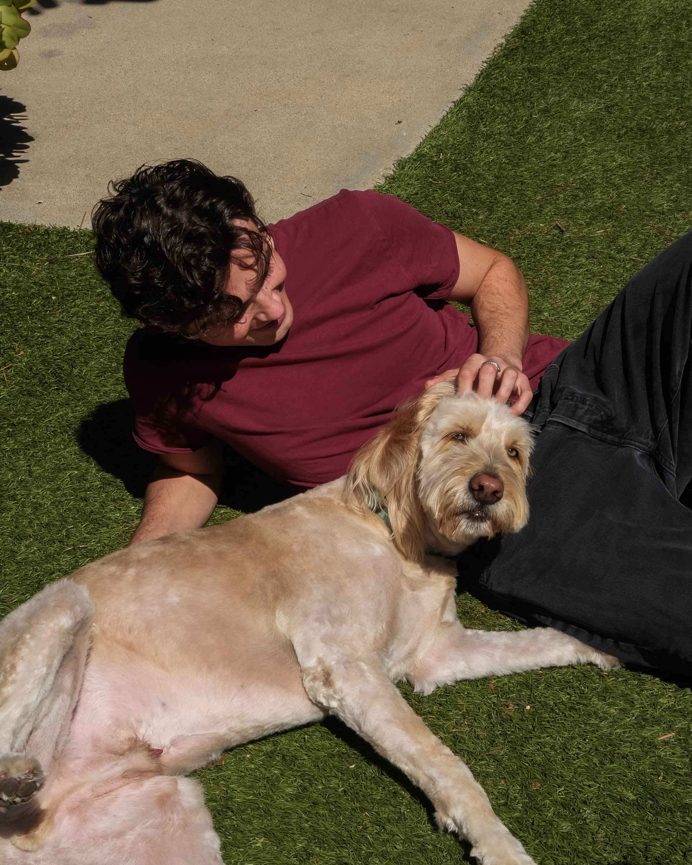 A person relaxing on the grass with a dog